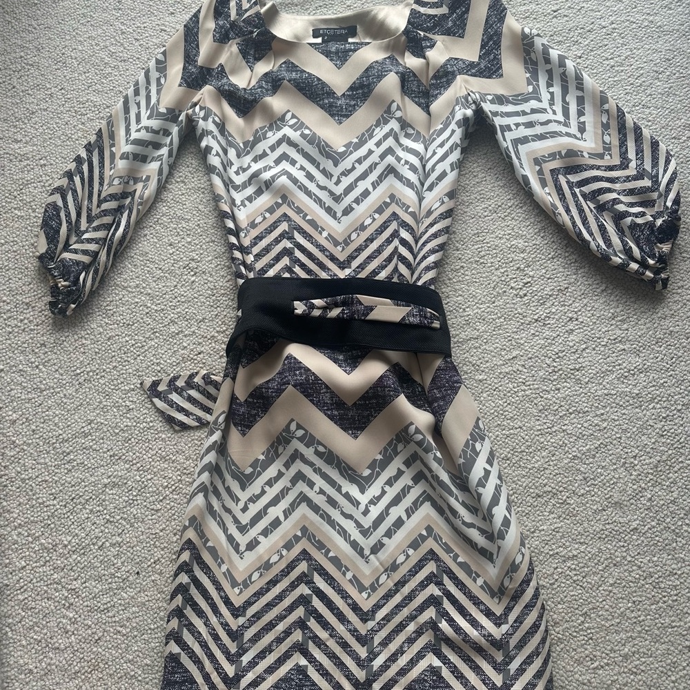 Etcetera Ladies Dress Size 2